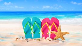 Cómo es Leo de Vacaciones - HoroscopoLeo.eu